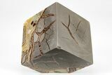 Wide, Polished Septarian Cube - Utah #207790-1